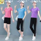 女夏季 长裤 宽松跑步短袖 七分裤 两件套 短裤 V领冰丝速干运动服套装