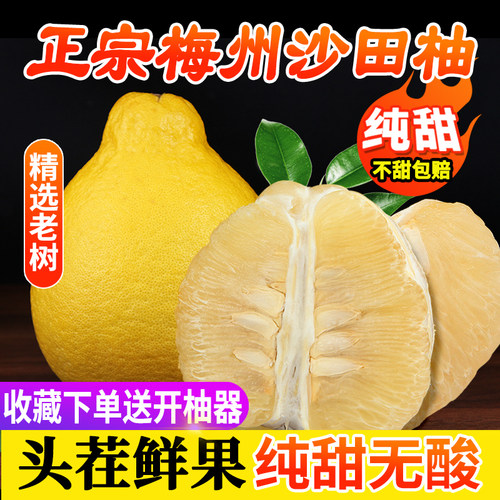 【纯甜】沙田柚新鲜水果超高回购