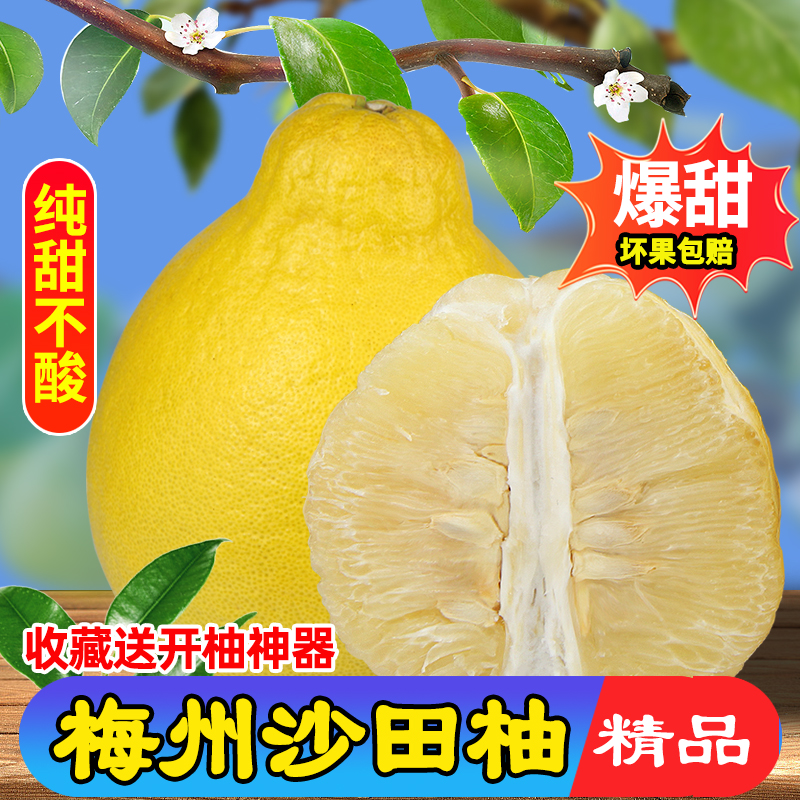 【纯甜】正宗梅州沙田柚精品大果