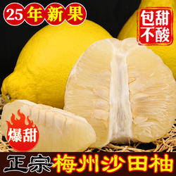【纯甜】正宗广东梅州沙田柚子小金柚白心肉当季孕妇新鲜水果容县