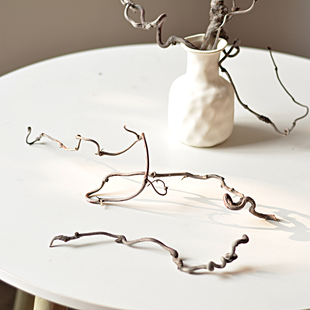 龙枣枝干枝树枝树干装饰天然树干插花干树枝造景侘寂风干禅意摆件