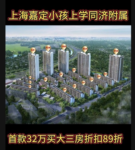 上海嘉定新房子法拍房地铁口大华同济附属小学免费车接车送精装修