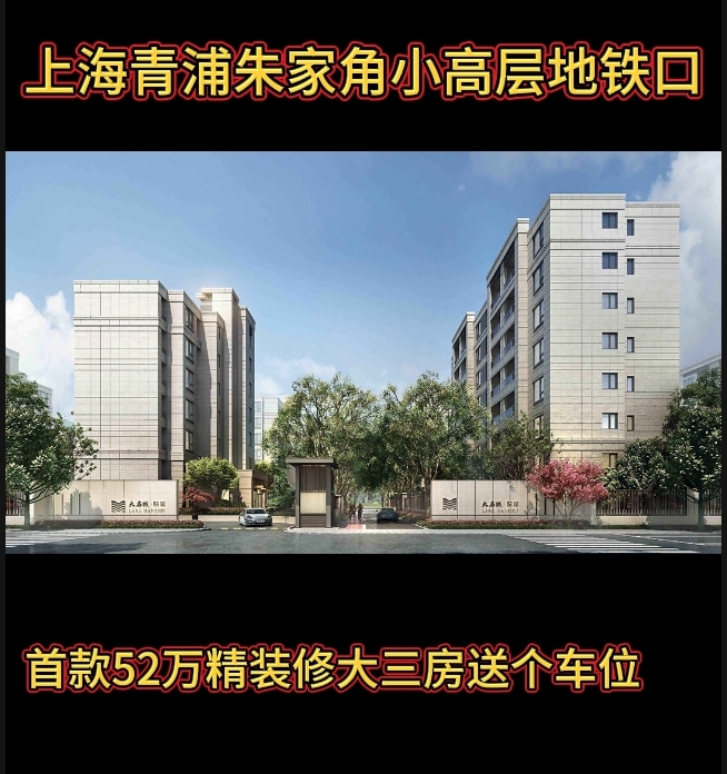 上海青浦朱家角大名城新房子洋房免费咨询车接车送地铁口精装修