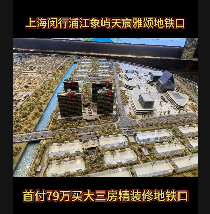 上海闵行浦江象屿天宸雅颂地铁口学区房新房子法拍房精装修南北