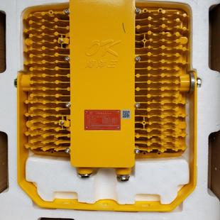 海洋王LED防爆泛光灯BFC8116投光灯200W油田联合站外场强光灯