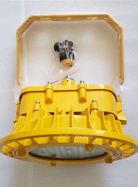 海洋王LED防爆泛光灯BFC8125吊杆吸顶侧壁8125智慧防爆照明70W