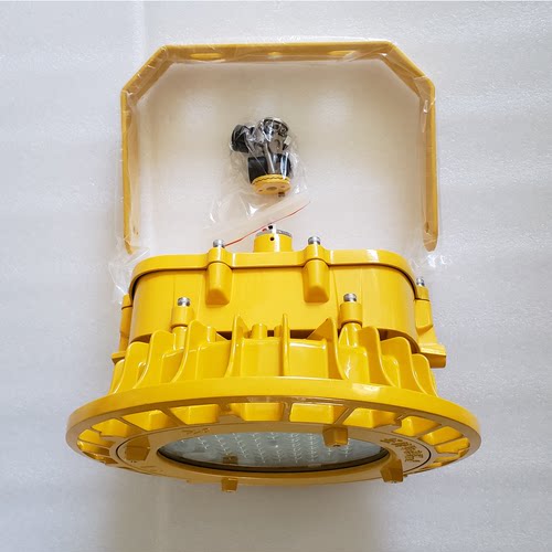 海洋王BFC8125LED防爆泛光灯70W