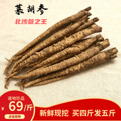 当季 莱胡参山东道地莱阳沙参新鲜北沙参农家自种现挖鲜沙参非野生