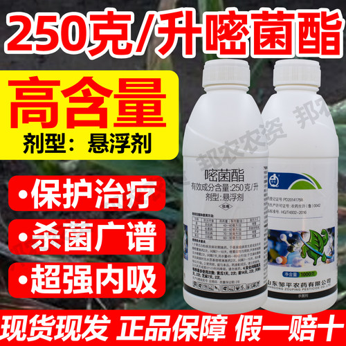 25%嘧菌酯杀菌剂防治炭疽病枯萎病茎枯病白粉病嘧菌酯1000克包邮