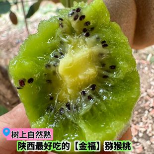 陕西周至正宗瑞玉金福翠香猕猴桃新鲜水果甜绿心奇异果当季弥猴桃