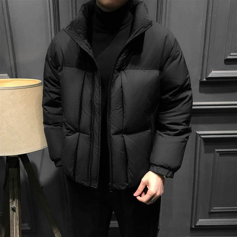 冬季90鸭绒加厚男士羽绒服秋冬2024新款立领爆款外套高端商务男装,男装,羽绒服,淘宝优惠券,粉丝福利购,淘宝优惠卷