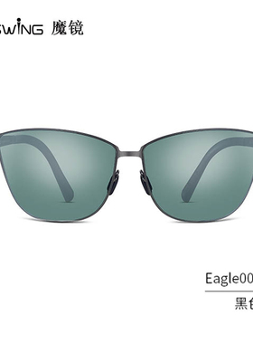 墨镜太阳眼镜Uswing休闲眼镜