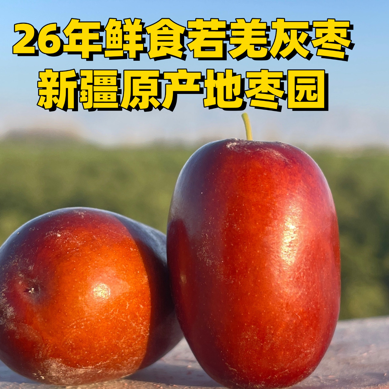 26年新疆若羌新鲜枣子红枣基地采摘包邮无添加软糯甜非冬枣基地