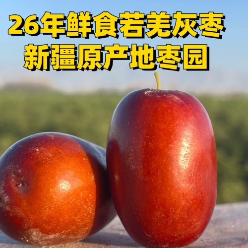 26年新疆若羌新鲜枣子红枣基地采摘包邮无添加软糯甜非冬枣基地