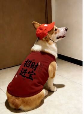 新年宠物狗狗衣服喜庆吉祥招财进宝背心中型犬柯基柴犬法斗