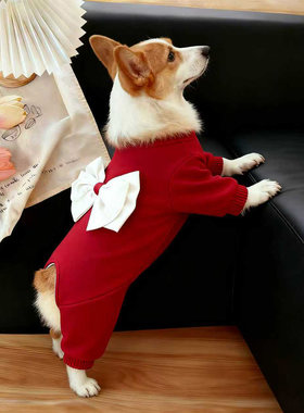 狗衣服冬季红色大蝴蝶结装饰宠物秋冬中型犬柯基法斗保暖四脚衣