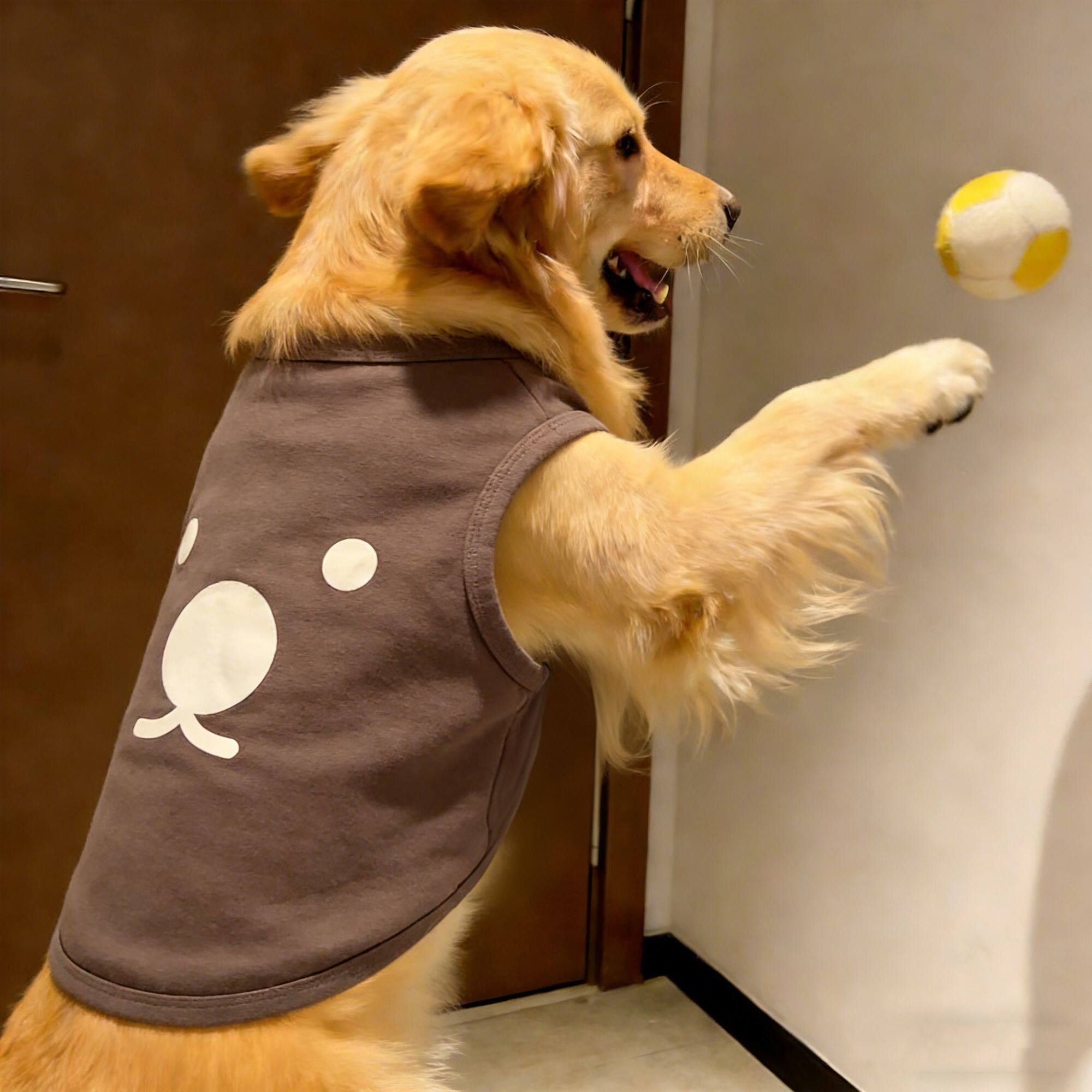 宠物狗狗衣服春秋款超萌咖色小熊印花亲肤背心大型犬金毛拉布拉多