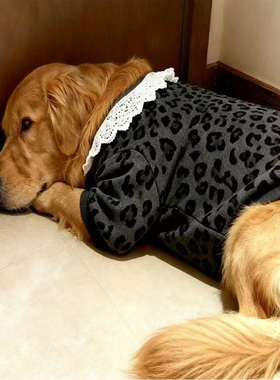 25狗狗新款衣服防冻黑灰豹纹白色领口秋冬两脚衣金毛萨摩保暖