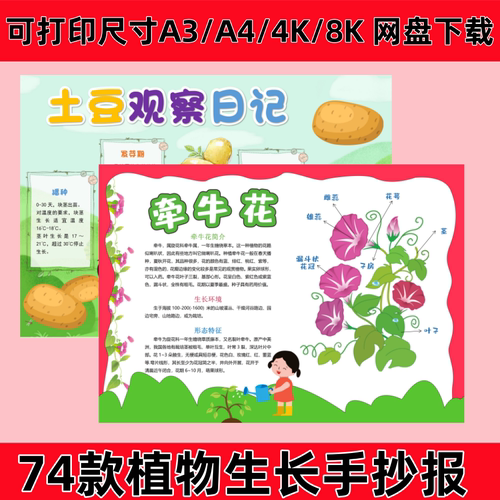 植物生长手抄报蔬菜种植记录卡自然笔记小报土豆大蒜豆芽草莓南瓜