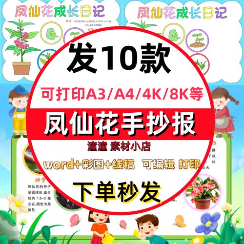 凤仙花自然笔记手抄报模板小学生植物观察成长日记生长过程小报