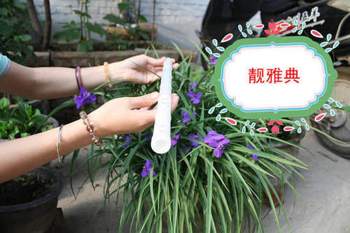 民族乐器玎乐大师制作