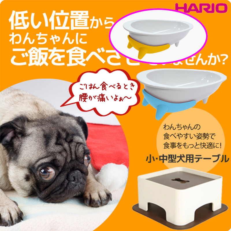 hario宠物餐桌碗架加高狗狗吃饭神器抖音碗单个简约创意个性高档