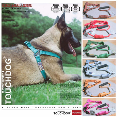 套装狗绳touchdog柴犬