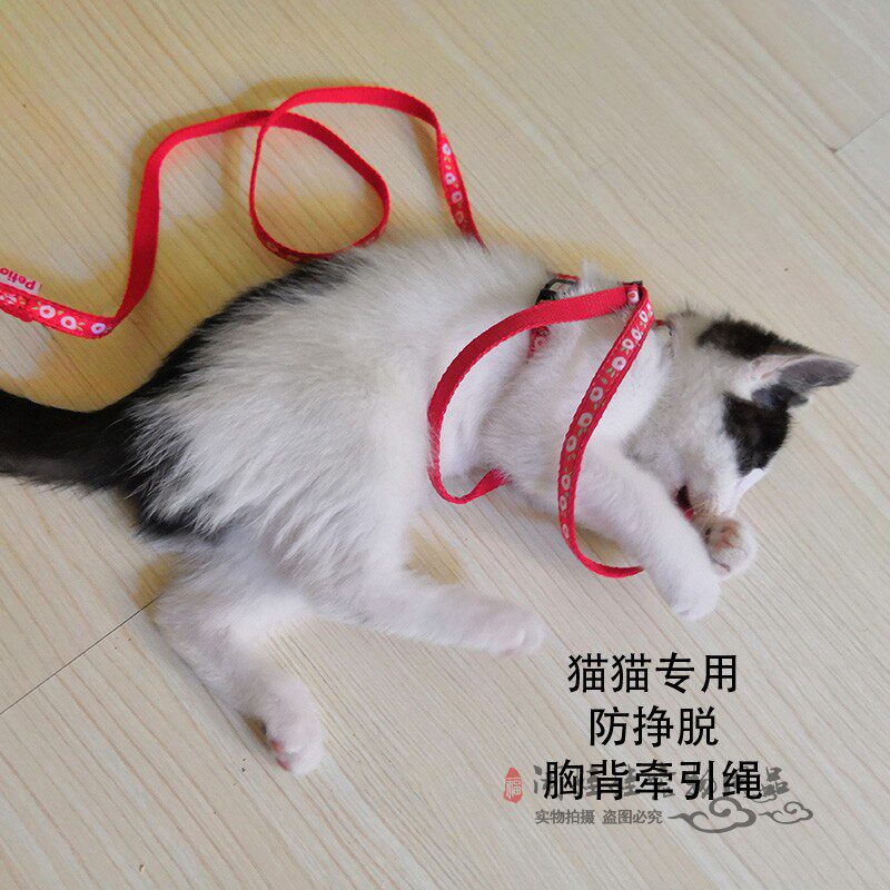 petio牵引绳遛猫绳可调节背心式图片