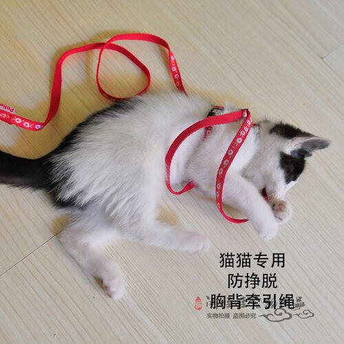 petio牵引绳遛猫绳可调节背心式