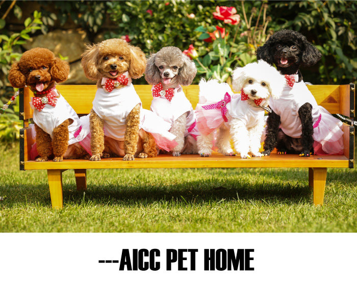 AICC宠物家具狗狗睡觉的窝木床大型犬狗窝金毛泰迪斗牛柯基犬离地