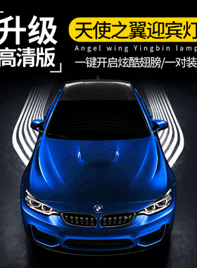 汽车底盘灯天使之翼迎宾灯车门灯车载照地投影车尾激光灯改装通用