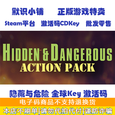steam正版 Hidden Dangerous: Action Pack 隐藏与危险1全球key
