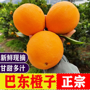 湖北巴东脐橙子新鲜水果雷家坪9斤整箱现摘现发好吃甜水果包邮