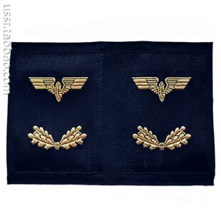 保真 二战后 德国帝国铁路公司领章刺绣 两枚一套