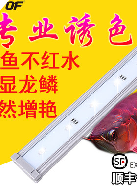 仟湖鱼业集团 OF御龙殿龙鱼专用LED灯红龙金龙血鹦鹉发色防水灯