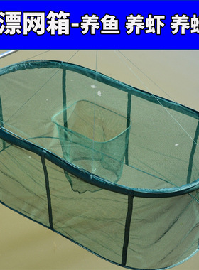 大口径网兜网鱼箱存鱼网笼折叠养鱼网箱暂养笼养殖吊笼鱼护