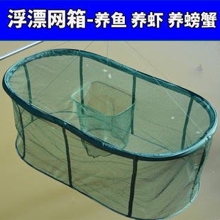 大口径网兜网鱼箱存鱼网笼折叠养鱼网箱暂养笼养殖吊笼鱼护