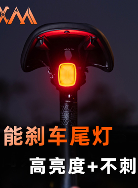 VXM自行车高亮尾灯智能感应刹车灯山地公路车夜骑警示灯USB长续航