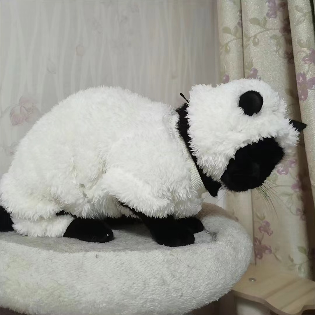 猫咪衣服变身肖恩秋冬衣服