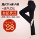 长裤 广场舞服装 女秋冬加厚加绒莫代尔成人练功运动跳舞健身修身