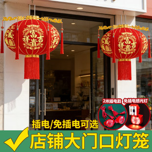 新年灯笼大门口别墅阳台一对挂饰家用高级感喜庆新款带电吊灯户外