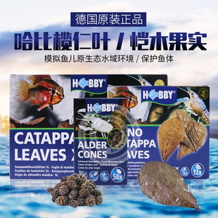 德国哈比桤木果进口懒人叶榄仁叶软水调节PH值黄水软水定水抑菌
