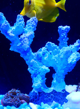 仿真蓝色珊瑚硬骨珊瑚树脂造景海水水族箱鱼缸造景摆件假SPS珊瑚