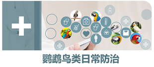 鹦鹉药感冒流鼻涕鸽子单眼伤风拉稀水便绿便驱虫药八哥鸟常备用药