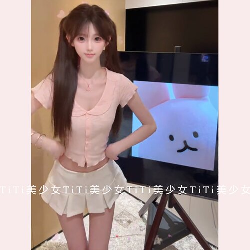 短袖T恤女上衣/百褶短裙半身裙