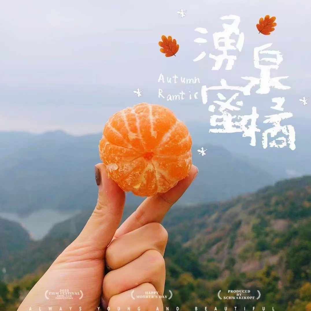 涌泉蜜桔新鲜水果正宗台州高山橘子无核临海宫川蜜橘10斤5斤送人,水产肉类/新鲜蔬果/熟食,桔子,淘宝优惠券,粉丝福利购,淘宝优惠卷