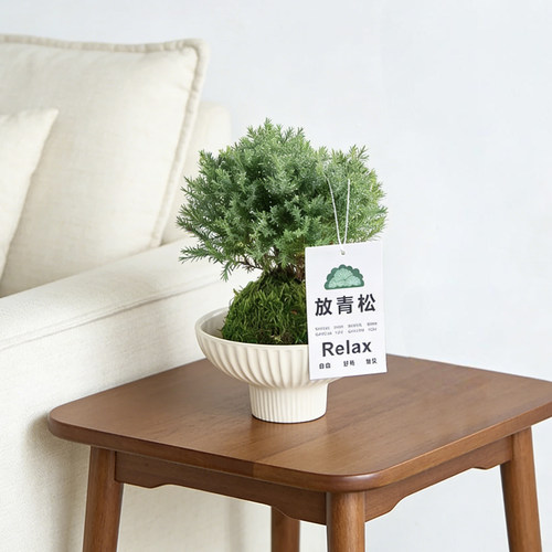 雾凇苔藓球绿植懒人好养桌面摆件