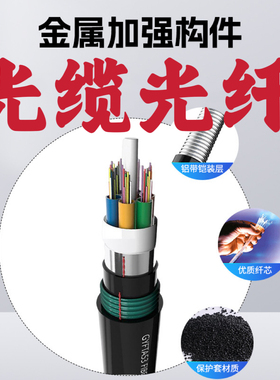光缆6 8 12 24 48 64 72 96多144GYTA288芯光纤铠装室外单模GYTS4