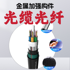 光缆6 8 12 24 48 64 72 96多144GYTA288芯光纤铠装室外单模GYTS4
