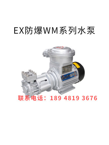 原装正品aulank奥兰克WM-EX防爆高温泵热水热油旋涡泵离心泵循环